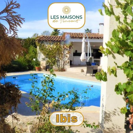 Ibis - Villa Avec Piscine, Jardin Et Parking Arles Buitenkant foto