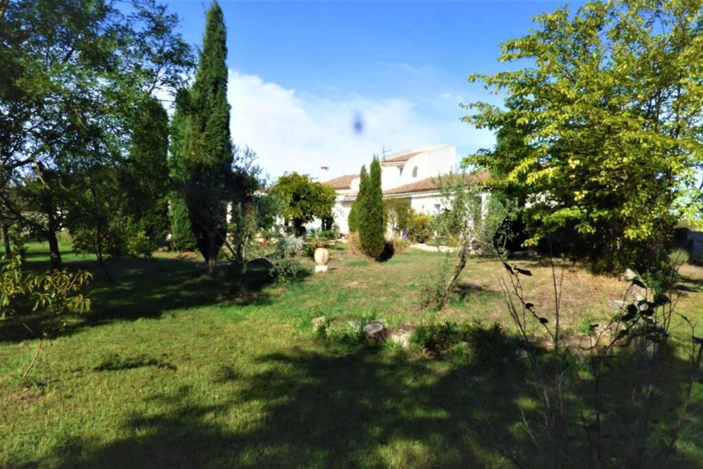Ibis - Villa Avec Piscine, Jardin Et Parking Arles Buitenkant foto