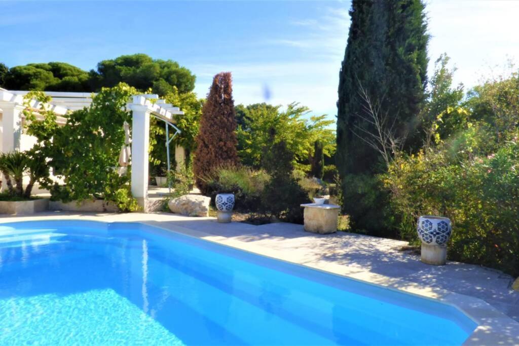 Ibis - Villa Avec Piscine, Jardin Et Parking Arles Buitenkant foto