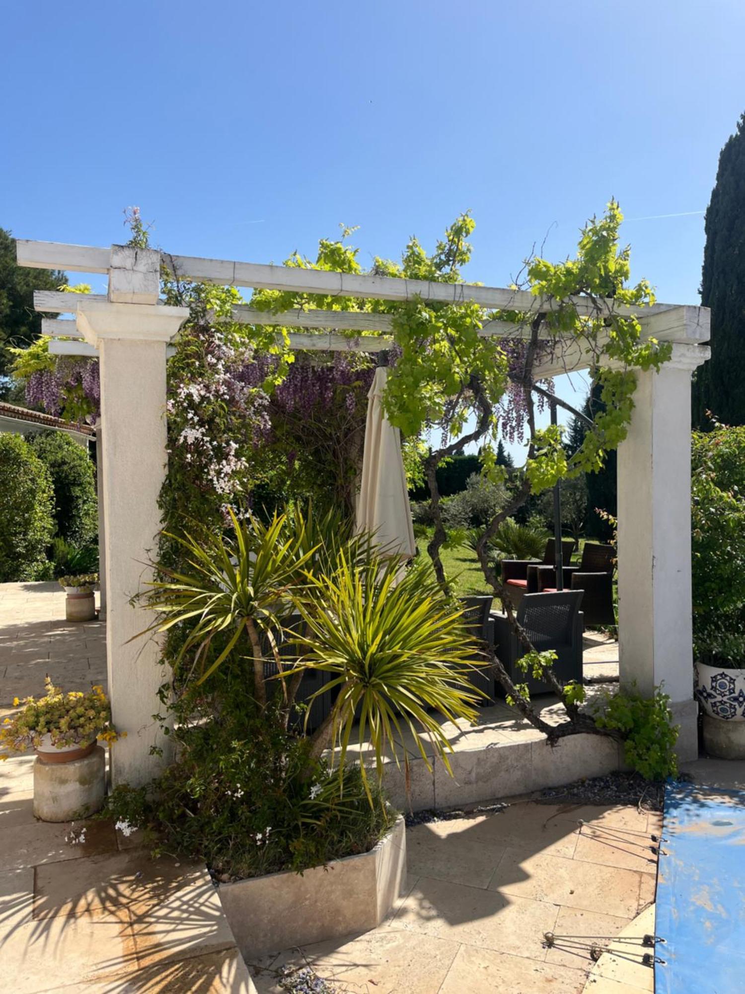 Ibis - Villa Avec Piscine, Jardin Et Parking Arles Buitenkant foto
